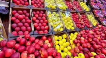 تحديث يومي.. أسعار الفاكهة في الأقصر 13 فبراير